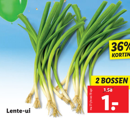 Folder Aanbieding Bij Lidl Details