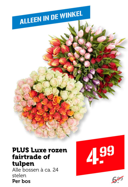 Tulpen Rozen Folder Aanbieding Bij Coop Details