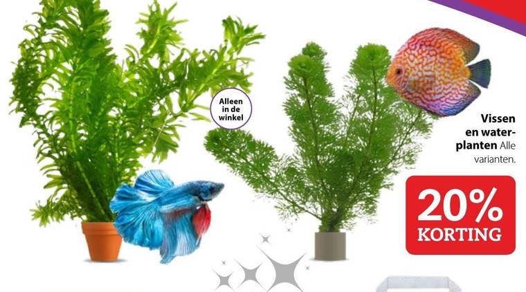 idee Sanctie Veilig tropische vis, waterplant folder aanbieding bij Pets Place - details