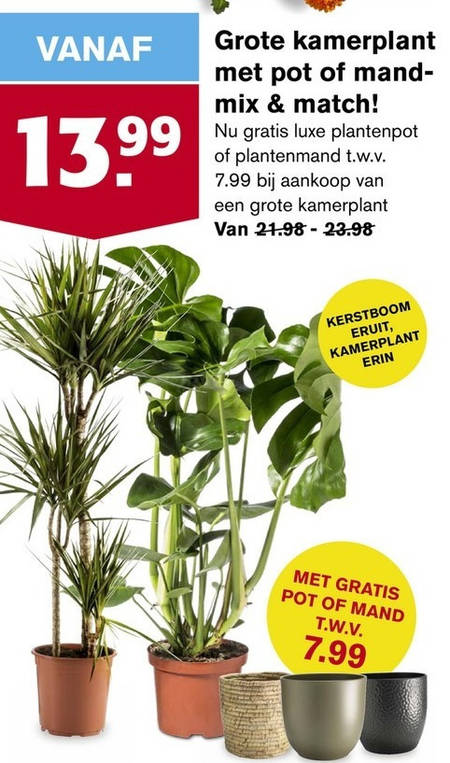 kamerplant folder aanbieding bij -