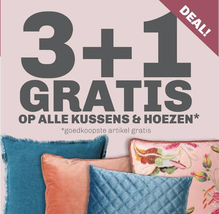 Adviseur Kinematica bovenste sierkussen, sierkussenhoes folder aanbieding bij Trendhopper - details