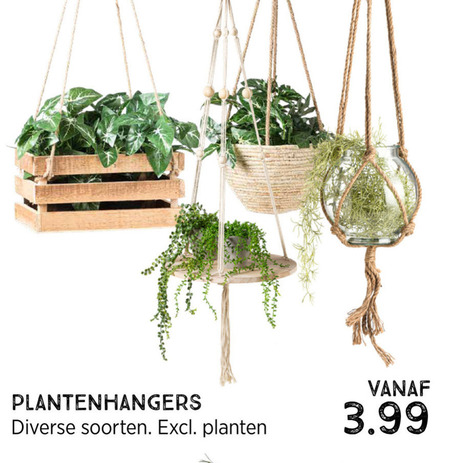 Secretaris Ham groet plantenhanger folder aanbieding bij Xenos - details