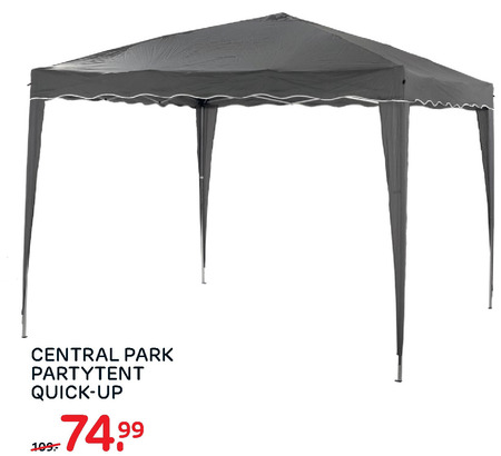 Mand Beraadslagen Vervagen Central Park partytent folder aanbieding bij Praxis - details