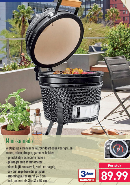 Concentratie Geheugen As houtskool barbecue folder aanbieding bij Aldi - details