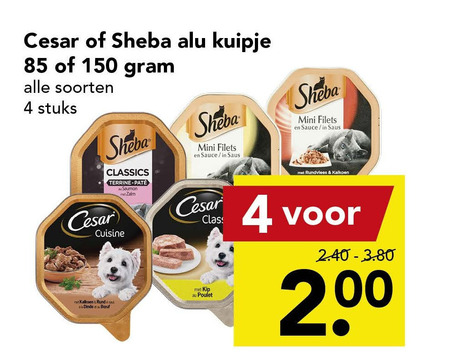 regenval potlood in verlegenheid gebracht Cesar hondenvoer, kattenvoer folder aanbieding bij Deen - details