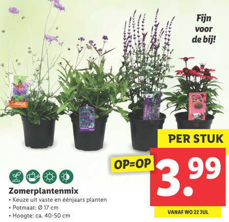 Ventileren type opblijven tuinplant folder aanbieding bij Lidl - details