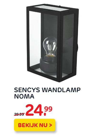 Automatisch trompet Waterig Sencys buitenlamp folder aanbieding bij Praxis - details