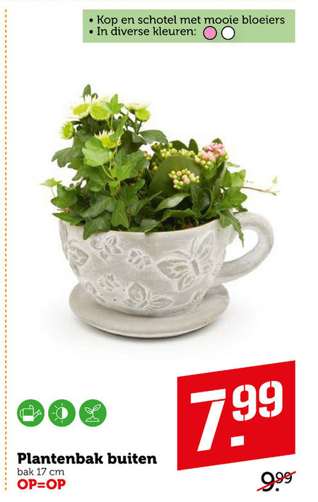 zegevierend Trojaanse paard Haarzelf plantenbak folder aanbieding bij Coop - details