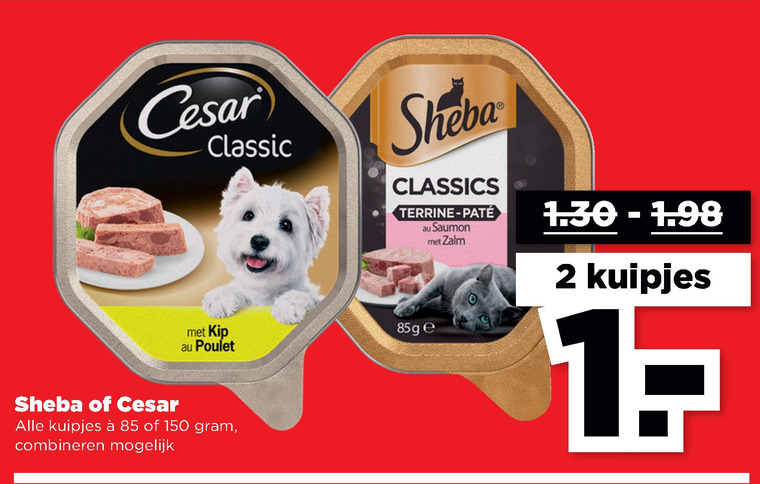 Aan het liegen Oranje belegd broodje Sheba hondenvoer, kattenvoer folder aanbieding bij Plus - details