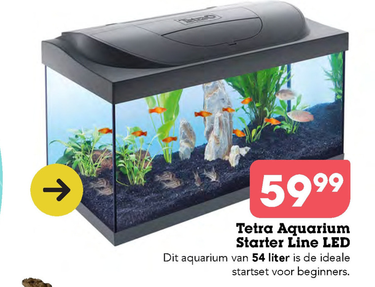 Onbevredigend Ontembare Donau Tetra aquarium folder aanbieding bij Discus Hengelsport - details