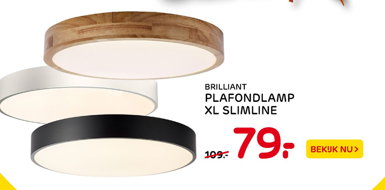 plafondlamp, plafonniere folder aanbieding bij Praxis details