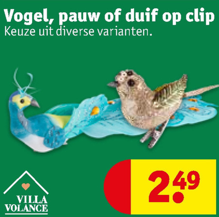 vogeltje folder aanbieding bij