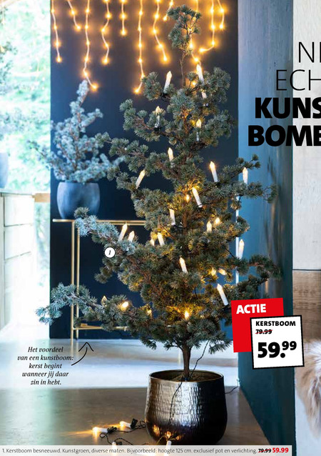 En aflevering Aardappelen kunstkerstboom folder aanbieding bij Intratuin - details