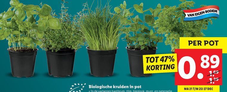 waarschijnlijkheid afbetalen Krijgsgevangene kruidenplant folder aanbieding bij Lidl - details