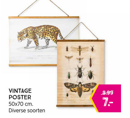 wanddecoratie folder aanbieding bij -