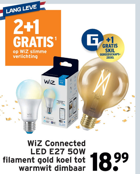 Afrikaanse bijgeloof Pijlpunt led lamp folder aanbieding bij Gamma - details