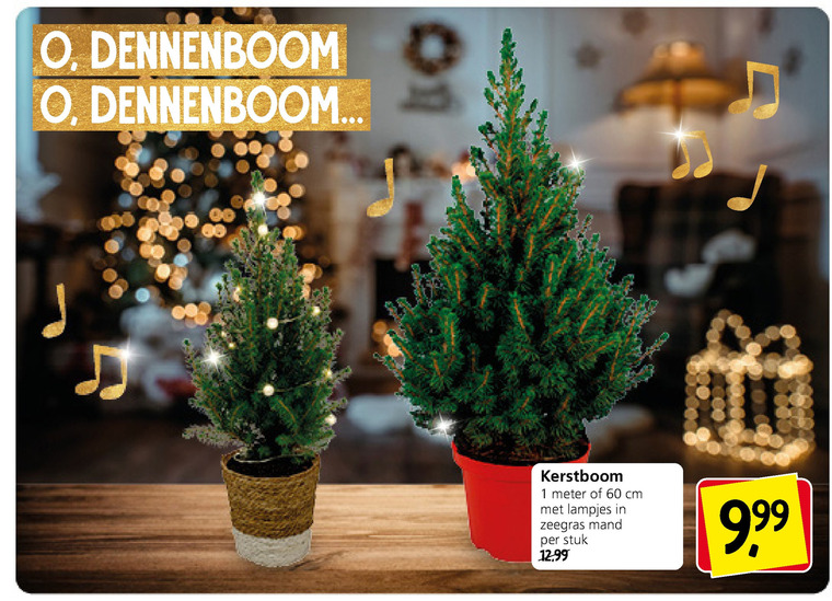 kerstboom folder aanbieding bij Jan Linders details