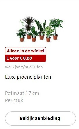 Opnieuw schieten melodie constante kamerplant folder aanbieding bij Jumbo - details