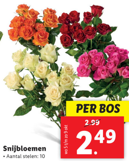 Konijn meisje schotel bloem folder aanbieding bij Lidl - details