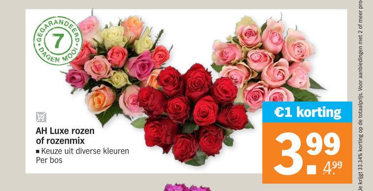 Rozen Folder Aanbieding Bij Albert Heijn Details