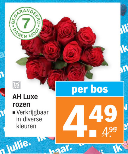 Rozen Folder Aanbieding Bij Albert Heijn Details