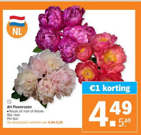 Rozen Pioenroos Folder Aanbieding Bij Albert Heijn Details