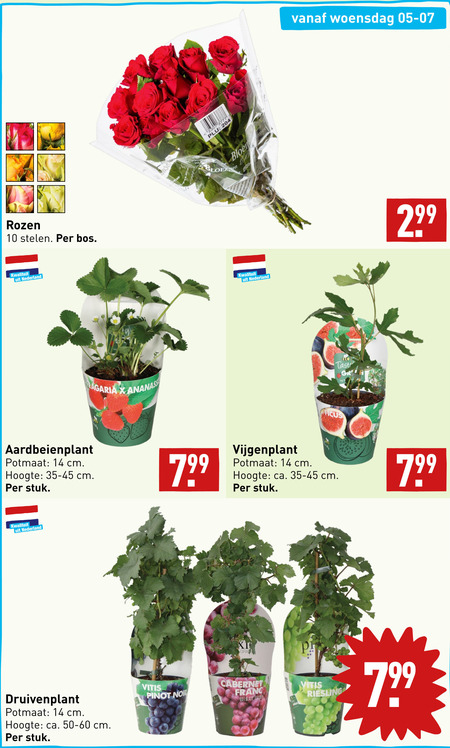 Folder Aanbieding Bij Aldi Details