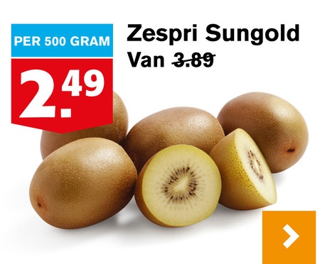 Zespri   kiwis folder aanbieding bij  Hoogvliet - details