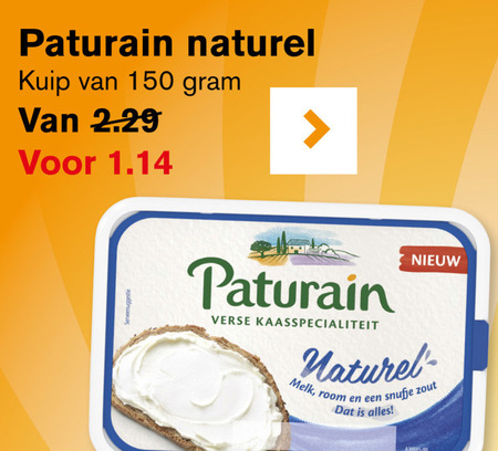 Paturain   roomkaas folder aanbieding bij  Hoogvliet - details