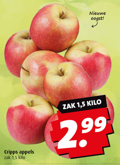  nieuwe oogst appels zak 1 5 kilo 