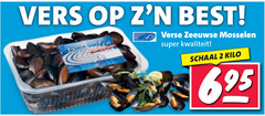  2 vers best verse zeeuwse mosselen super schaal kilo 