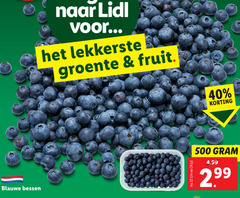  22 24 40 500 blauwe bessen groente fruit 