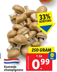  25 28 33 250 kastanje champignons 