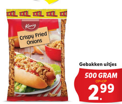  500 xxl xx kania crispy fried onions gebakken uitjes 2 99 