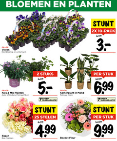  2 7 10 12 15 25 bloemen planten violen kleinbloemig winterhard 2x pack bast colours mix hedera potmaat cm rozen bos stelen stuks dagen vaasgarantie kamerplant mand boeket fleur stuk 