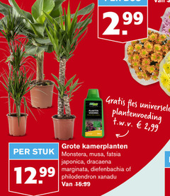  planten voeding fles universele plantenvoeding t.w.v. 2 99 kamerplanten stuk monstera 12 japonica dracaena marginata philodendron xanadu 