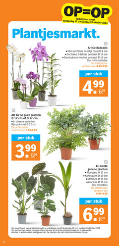  kamerplanten orchidee 2 6 12 17 19 20 25 oktober mini potje maat cm potmaat dendrobium varieeren stuk air planten 3 groene monstera strelitzia alocasia assortiment aanbod ah.nl welke plantjes online beschikbaar 