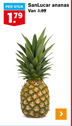  ananas sanlucar stuk 