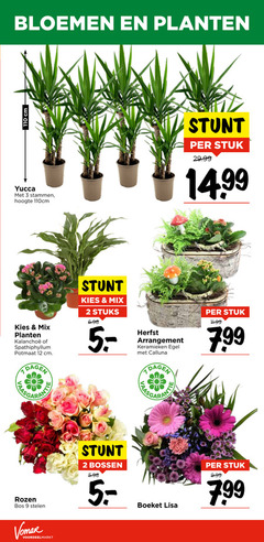  boeket rozen 2 3 9 12 cm bloemen planten yucca stammen hoogte 110cm stuk mix spathiphyllum potmaat dagen stuks herfst arrangement keramieken calluna bos stelen bossen lisa 