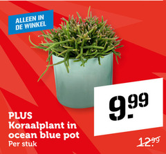  ocean blue pot stuk 