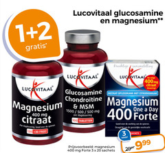  1 2 3 20 100 120 400 lucovitaal glucosamine magnesium luca samenstelling citraat instant chondroitine mg spie 30 free 1500 500 dagdosering tabletten one day forte sachets draagt geestelijke 