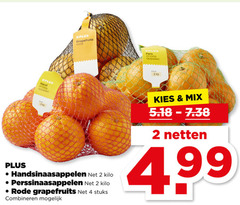  2 4 grapefruits rood pers sinaas appelen inhoud hand handsinaasappelen kilo perssinaasappelen rode stuks combineren mix netten 99 