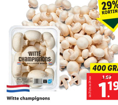  1 24 400 champignons yan hollandse bodem nederland witte 