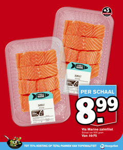  4 500 quality finest vis marine 3 tefal kweek gecertificeerd aqua zalmfilet gekoeld bes gebruiken gewicht id folie beesd week schaal pannen 