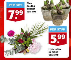  bos dag boeket stuk 5.99 hyacinten mand 