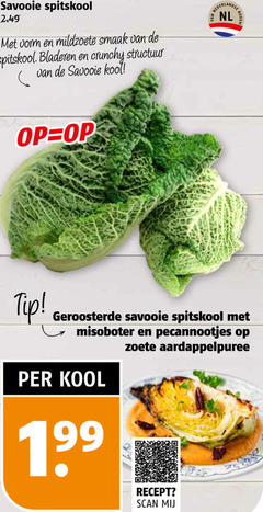  savooie spitskool vorm mildzoete crunchy structuur kool nederlandse nl bodem tip geroosterde zoete aardappelpuree recept scan 