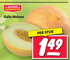  galia meloen stuk 