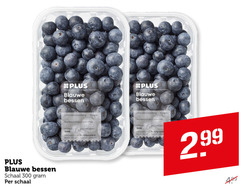  300 blauwe bessen schaal land oorsprong klasse inhoud 300g verpakt retail b.v. utrecht b 