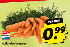  holland hollandse bospeen bos 