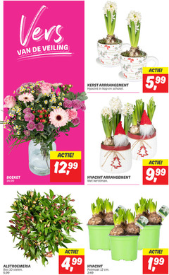  10 12 vers veiling merry christmas christ kerst hyacint kop schotel 5 99 boeket 14 arrangement kerstman 9 alstroemeria bos stelen 4 potmaat cm 2 hyacinthus blond wit 1 